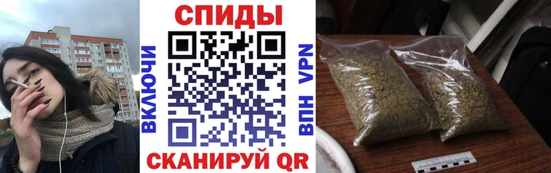 как найти закладки Боровичи БУТИРАТ буратино