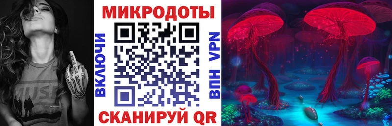 Псилоцибиновые грибы прущие грибы  дарк нет формула  Боровичи 